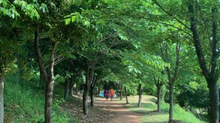[광양시] 마동저수지 생태공원에 '맨발 산책로' 확대 조성