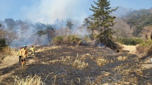 [전라남도]  산불 방지 위반행위 신고하면 포상금 지급