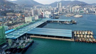 부산공동어시장 현대화 사업 확정, 올 11월 본공사 착수