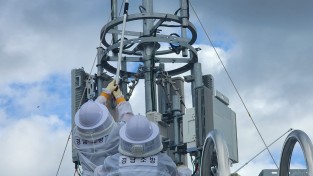 경남소방본부, 벌 쏘임 사고를 피하는 여름철 생존 가이드