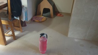 성산소방서, “우리 집 119, ‘소화기’로 자체진화”