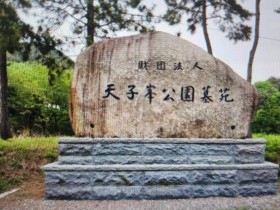 법원도 실제 공사 인정했는데 설계·변경도면은?…천자봉공원묘원 공사·법인운영 구조 주목