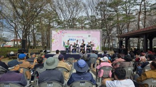 대한민국 문화도시 홍성, 벚꽃길이 공연장이 됐다…
