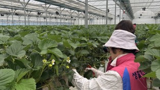 생활개선홍성군연합회, 탄소중립 환경정화 활동 전개