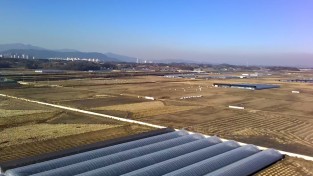 홍성군, 딸기 수출 판 키운다…‘스마트 수출 전문단지’ 국비 공모 선정