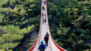 세대를 잇는 마음다리 운영