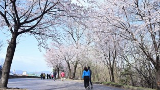 제11회 가산면민 가족사랑 걷기대회 성료