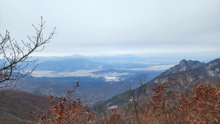 내삶속의 숲, 만들기 행사 성황리  개최.