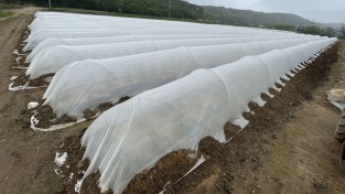 포천시, 이상기후 대응 안정생산기술 적용 실증사업 추진