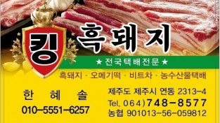 육지에서 바다건너 써프라이즈 감동