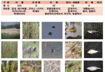 안산 최대규모 아파트 옆에 맹꽁이, 수달이 살고 있어요!