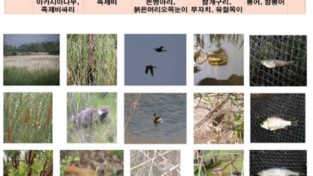 안산 최대규모 아파트 옆에 맹꽁이, 수달이 살고 있어요!