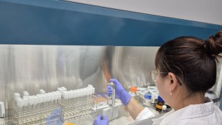 엽산 분야 ‘국가표준식품성분 DB 구축’ 선도