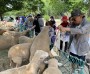 남동구 치매안심센터, 치매 환자와 함께하는‘푸른 숲 힐링 나들이’