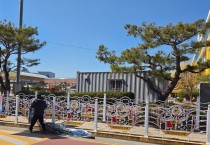 성주군 성주읍, 초등학교 주변 불법 광고물 정비 실시