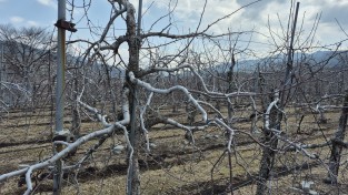 봉화군, 2026년 가업승계 우수농업인 정착지원 도 공모사업 선정