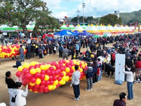 청송군, 제20회 청송사과축제 밑그림 그리기 착수