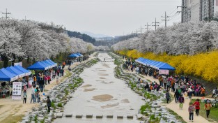 영주시, ‘벚꽃과 함께하는 시민 어울림 한마당’ 개최