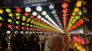 영천강변공원, 지역 화합 기원하는 연등 문화축제 성료