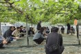 김천시, 포도전문지도연구회 과제교육 추진