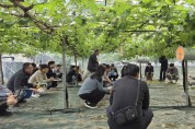 김천시, 포도전문지도연구회 과제교육 추진