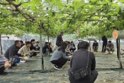 김천시, 포도전문지도연구회 과제교육 추진