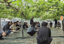 김천시, 포도전문지도연구회 과제교육 추진