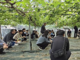 김천시, 포도전문지도연구회 과제교육 추진