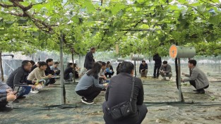 김천시, 포도전문지도연구회 과제교육 추진