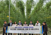 영천 청년농업인, 스마트팜 토마토 홍콩 첫 수출 ‘쾌거’