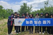 영덕군, 건설과 농촌 일손돕기 봉사활동 펼쳐