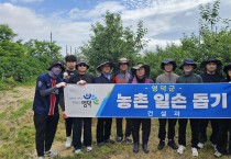 영덕군, 건설과 농촌 일손돕기 봉사활동 펼쳐