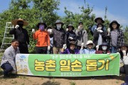 영덕군 종합민원처리과, 영해면 사과 농가 일손 지원