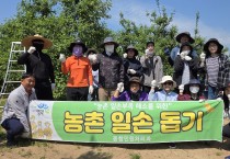 영덕군 종합민원처리과, 영해면 사과 농가 일손 지원