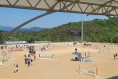 상주시 2026 춘계 전국학생승마대회 열띤 경쟁 펼쳐