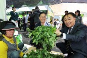 문경찻사발, 영양 산나물축제 성료, 5월 축제 성주로 이어져