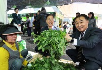 문경찻사발, 영양 산나물축제 성료, 5월 축제 성주로 이어져