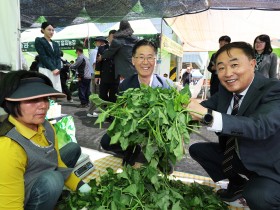 문경찻사발, 영양 산나물축제 성료, 5월 축제 성주로 이어져