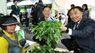 문경찻사발, 영양 산나물축제 성료, 5월 축제 성주로 이어져