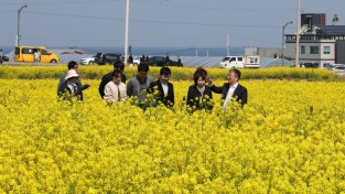 장상길 포항시장 권한대행, 호미곶 경관농업단지 현장 점검 나서