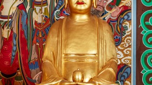 예천군 용문사 소조약사여래좌상, 경상북도 유형문화유산 지정