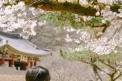 문경시, 문경새재 옛길 체험 콘텐츠 대폭 확대 운영