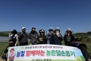 영천시 회계과, 마늘 재배농가 농촌 일손돕기 나서