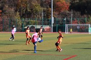 울진군, 2026 백암온천배 춘계 전국 유소년 축구대회’ 개최