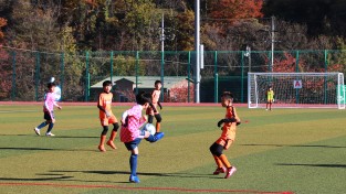 울진군, 2026 백암온천배 춘계 전국 유소년 축구대회’ 개최