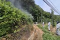영양군, 돌발해충 선제대응 위한 공동방제 실시