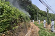 영양군, 돌발해충 선제대응 위한 공동방제 실시