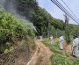 영양군, 돌발해충 선제대응 위한 공동방제 실시