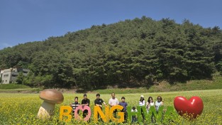봉화군, 춘양 애당리 꽃밭 유채꽃과 메밀꽃 절정