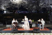 예천군, ‘개심사지 벚꽃 버스킹’ 성료